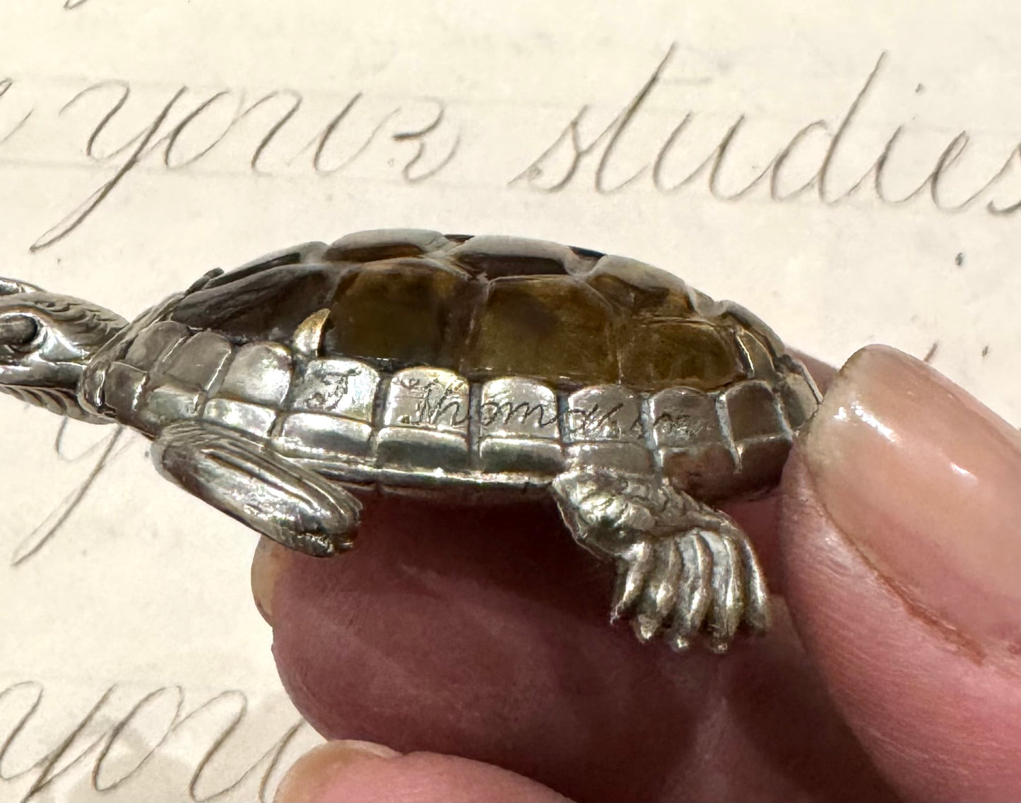 incredible, rare turtle match safe