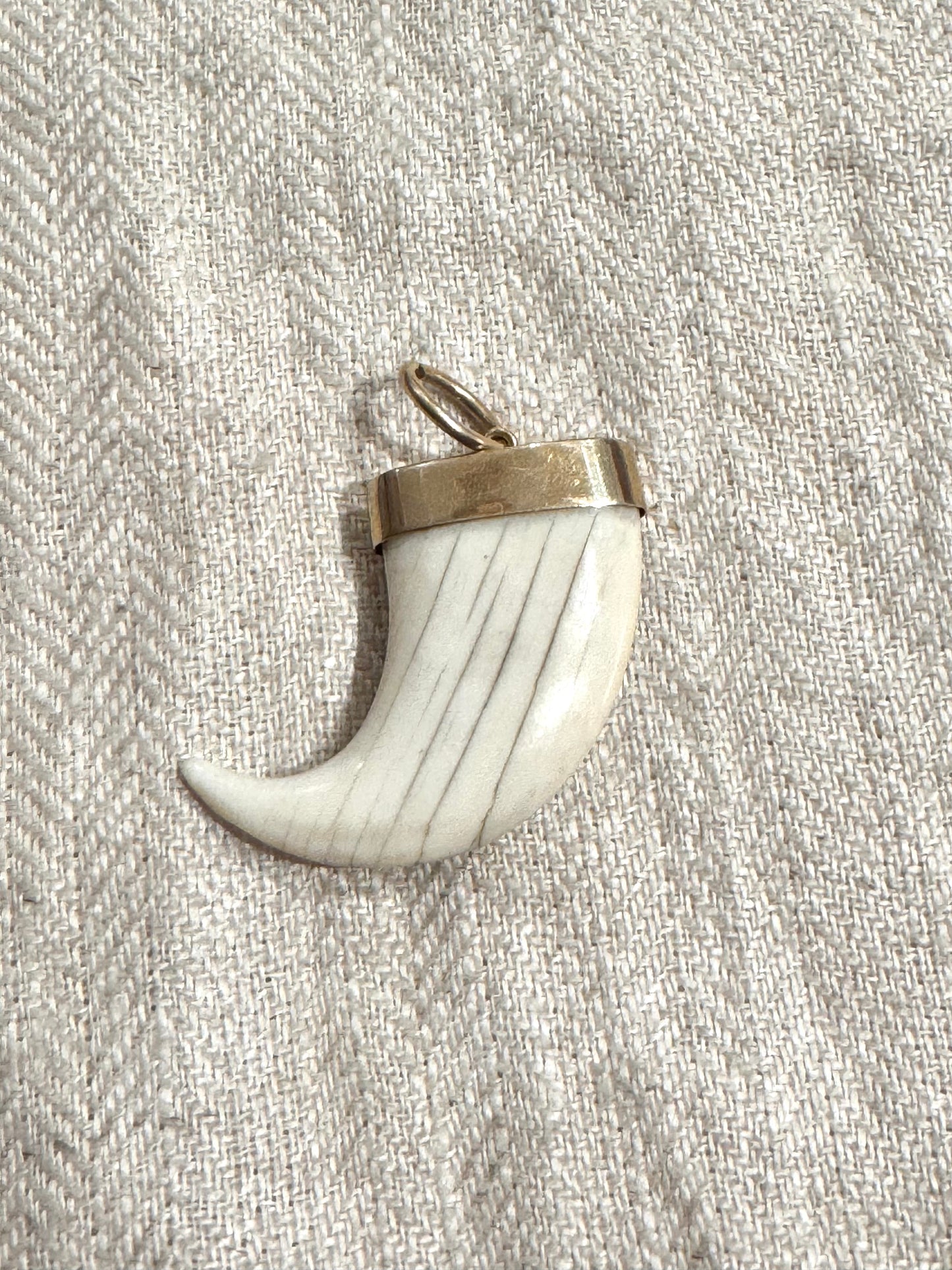 Beautiful English Carved Bone Claw with Star