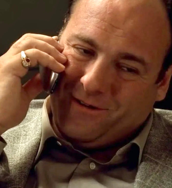 14k Gold Tony Soprano Pinky Ring with Ruby and Diamonds