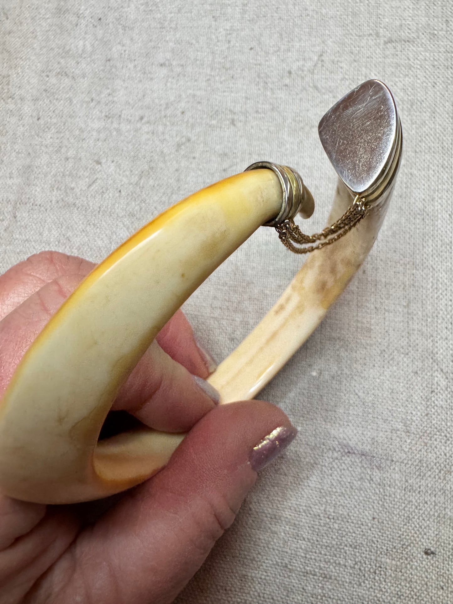 Warthog Tusk Bracelet #2