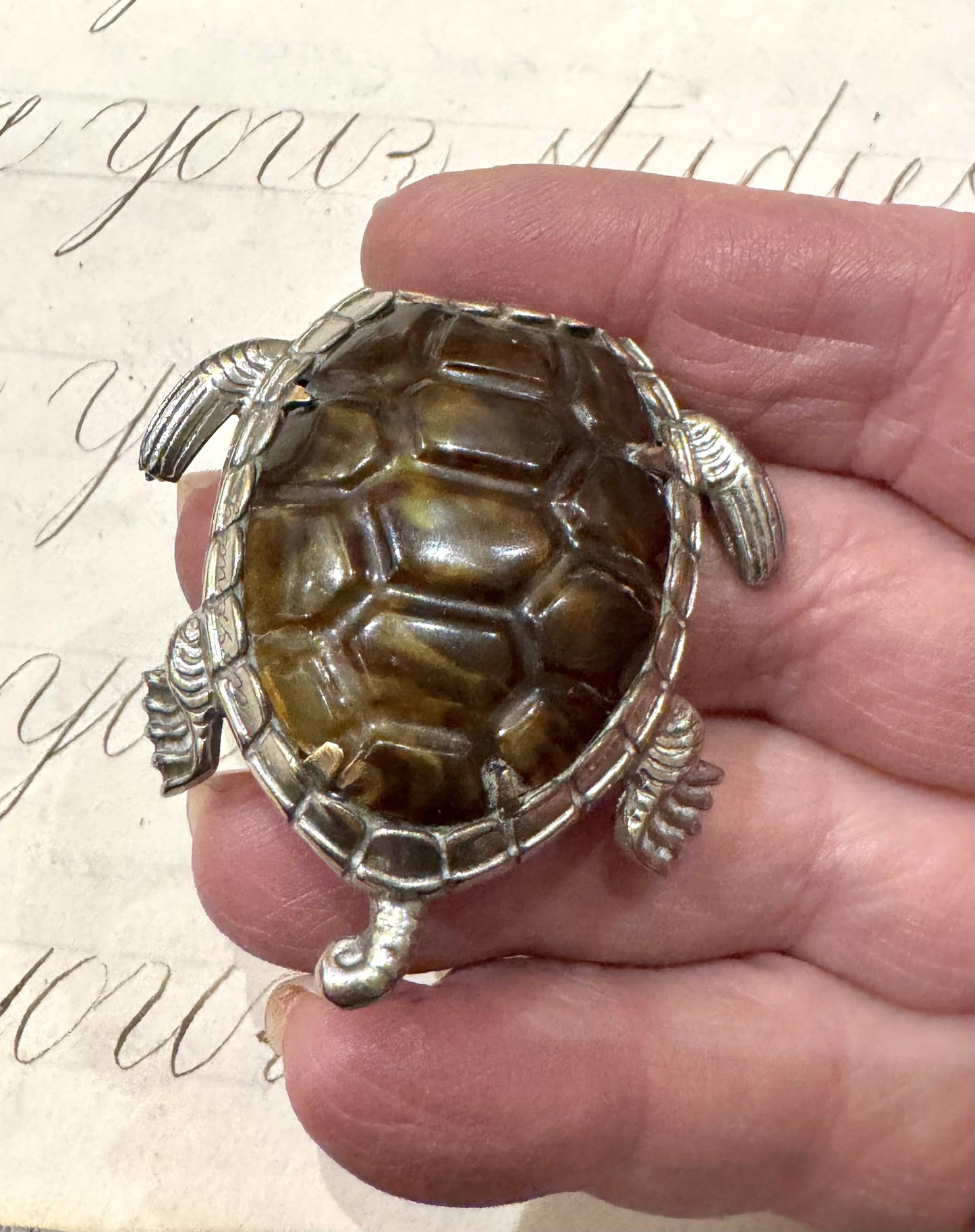 incredible, rare turtle match safe