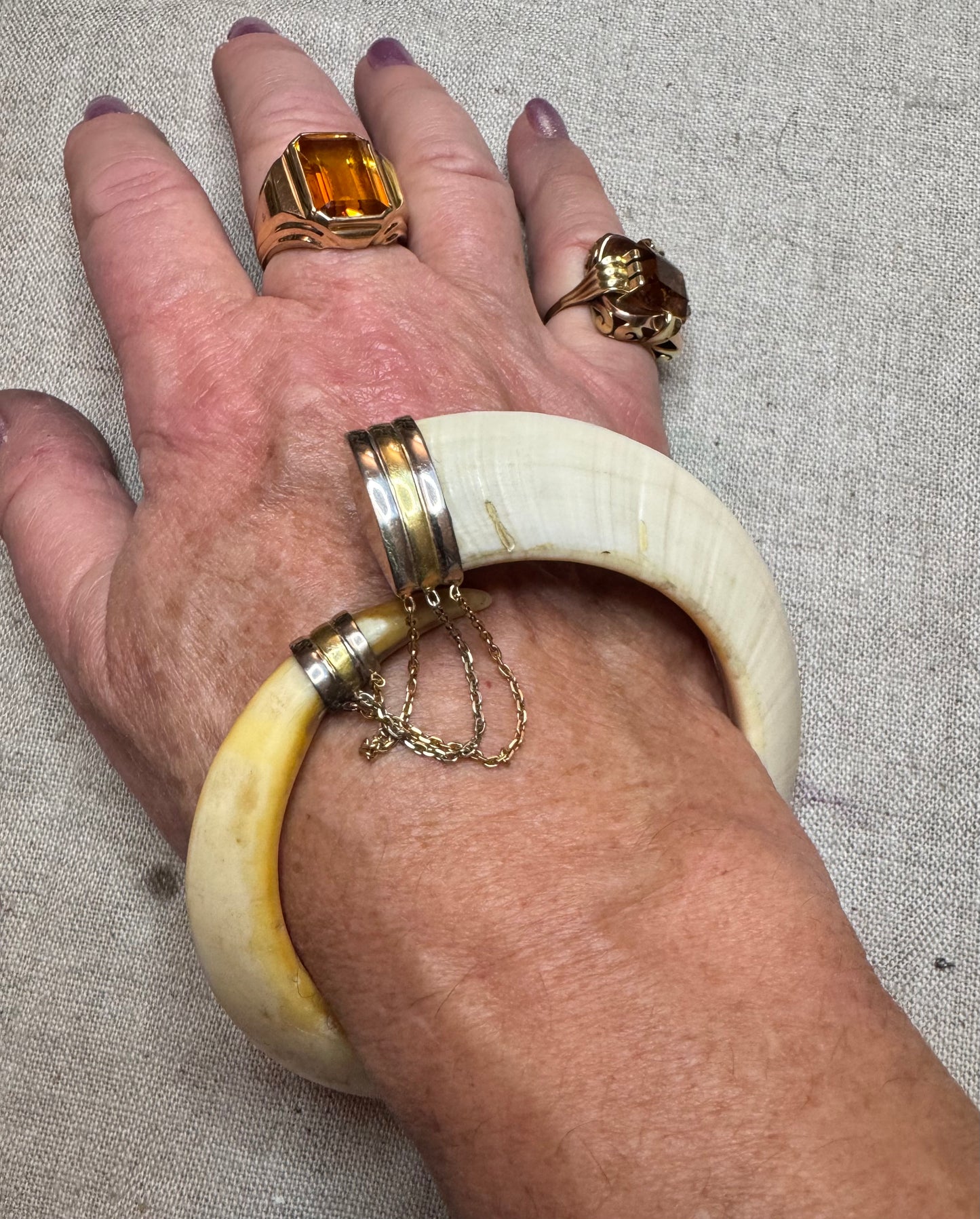 Warthog Tusk Bracelet #2