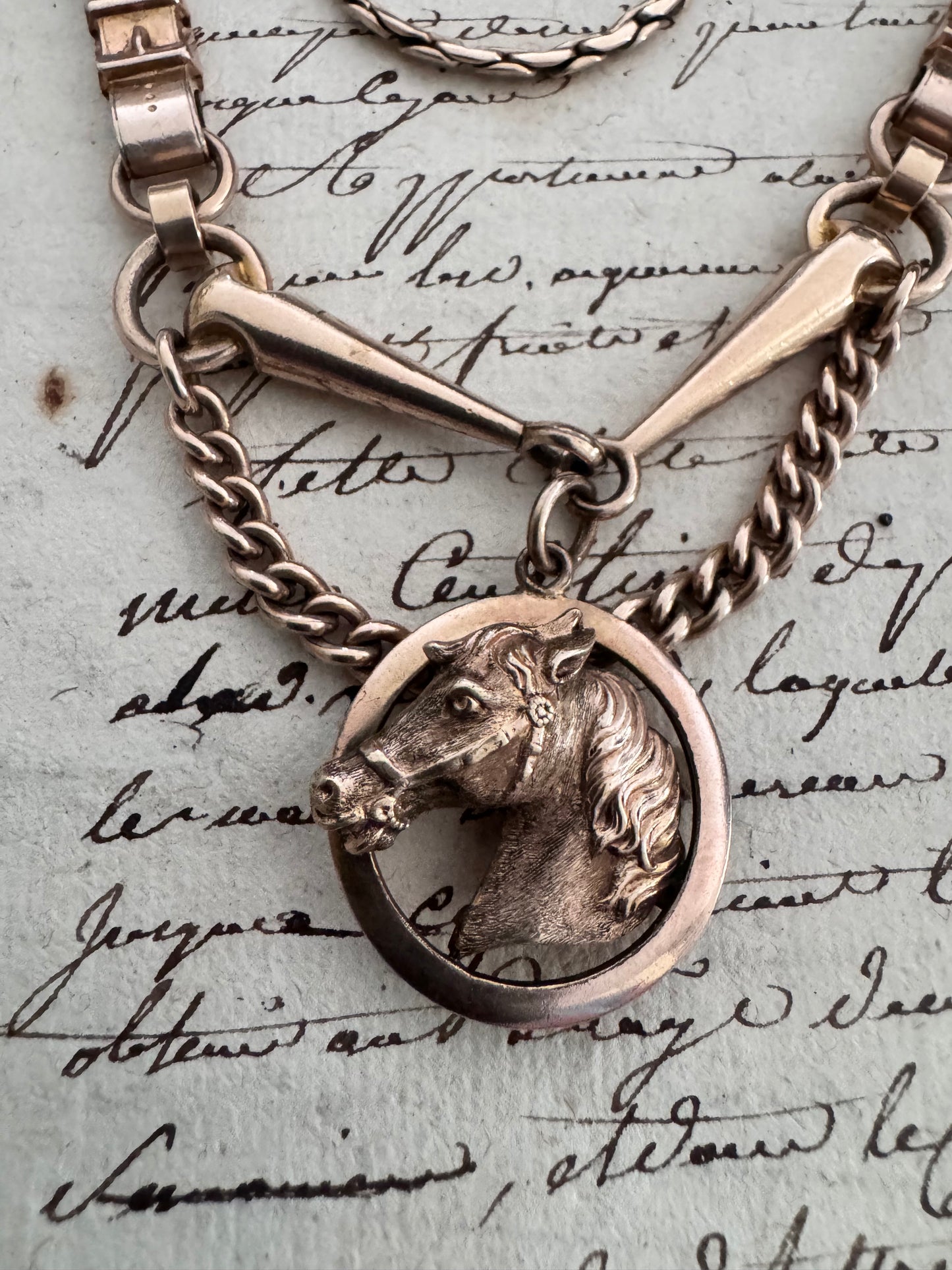 Victorian Gold Filled Equestrian Necklace with Horse Head, Horsebit and Tack