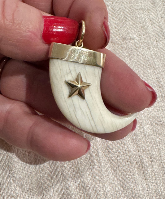 Beautiful English Carved Bone Claw with Star