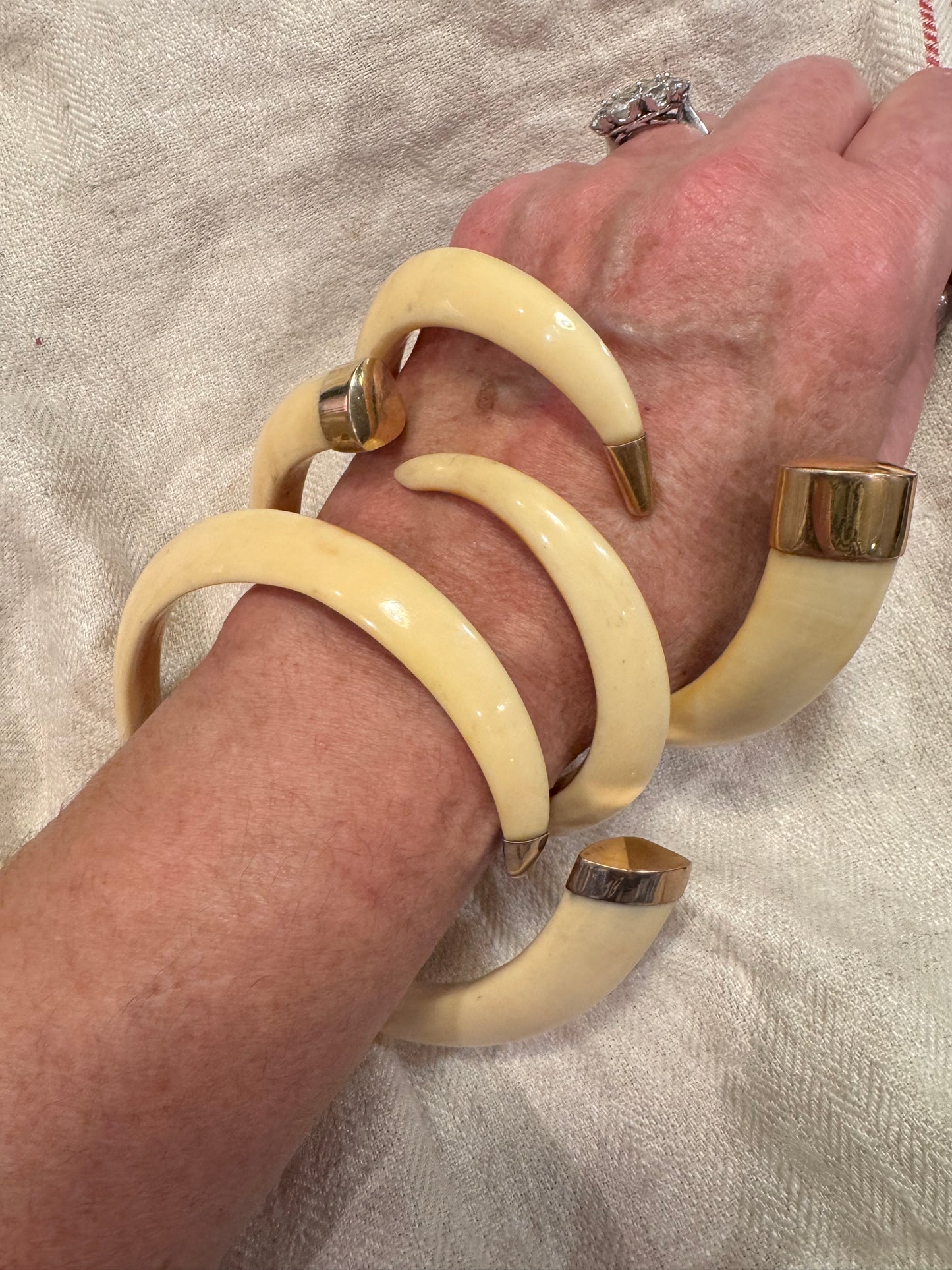 Warthog Tusk Bracelet #4