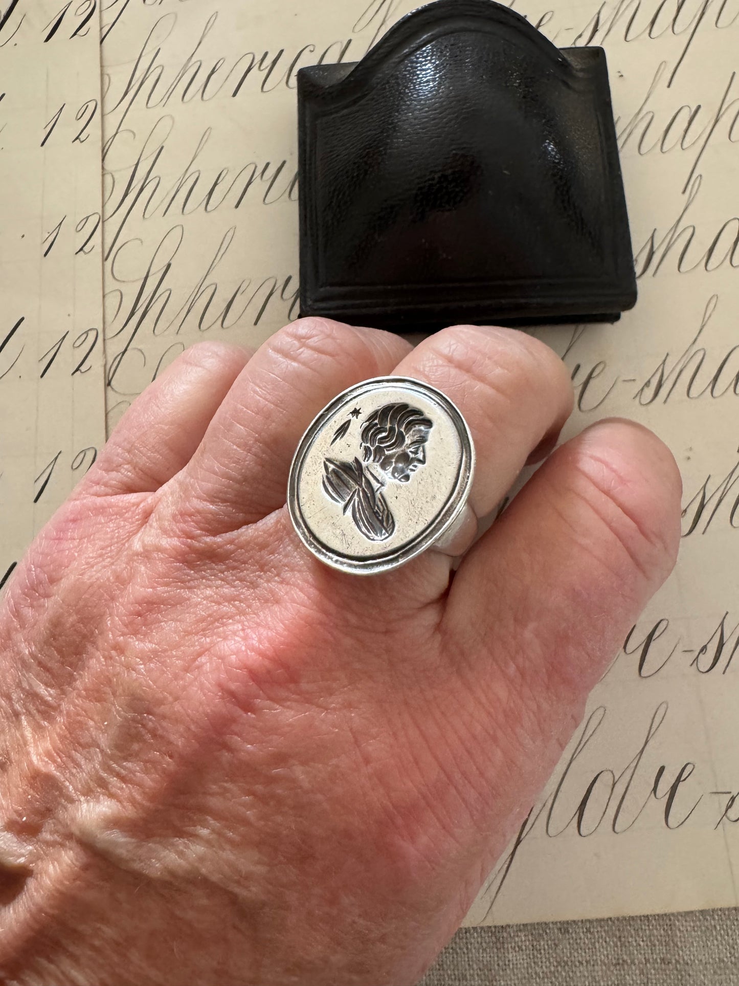 Halley and his Comet Ring