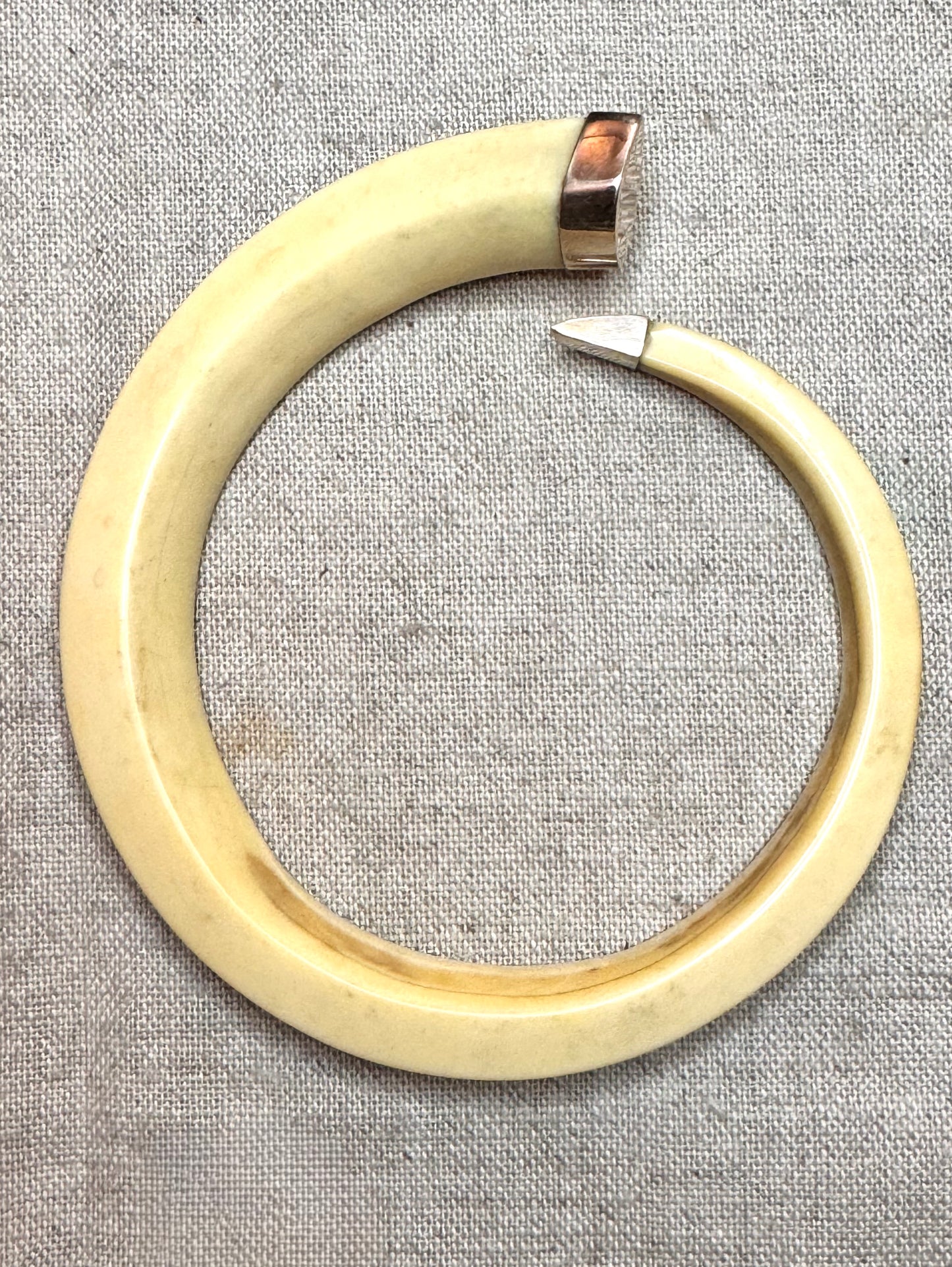 Warthog Tusk Bracelet #4