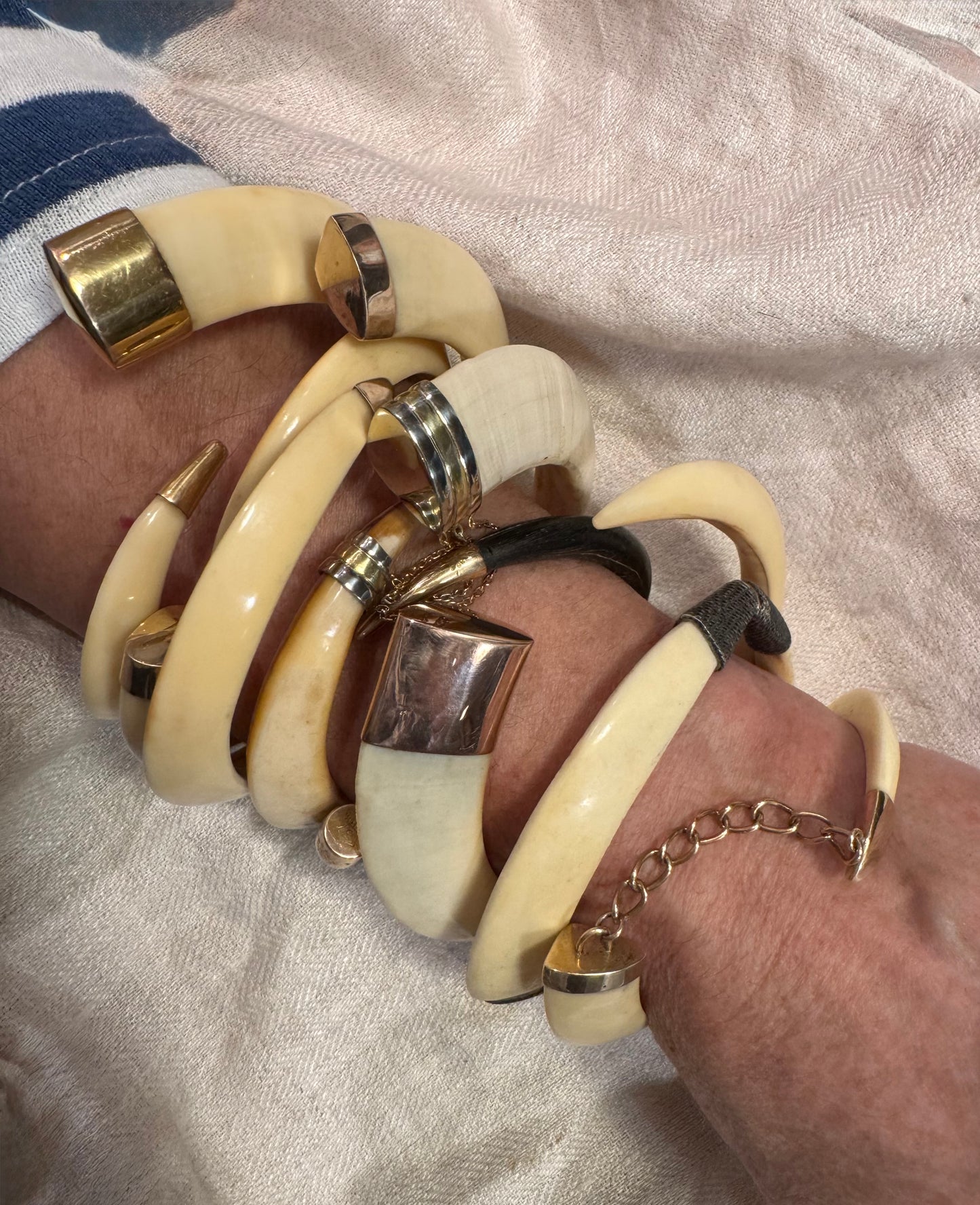 Warthog Tusk Bracelet #4