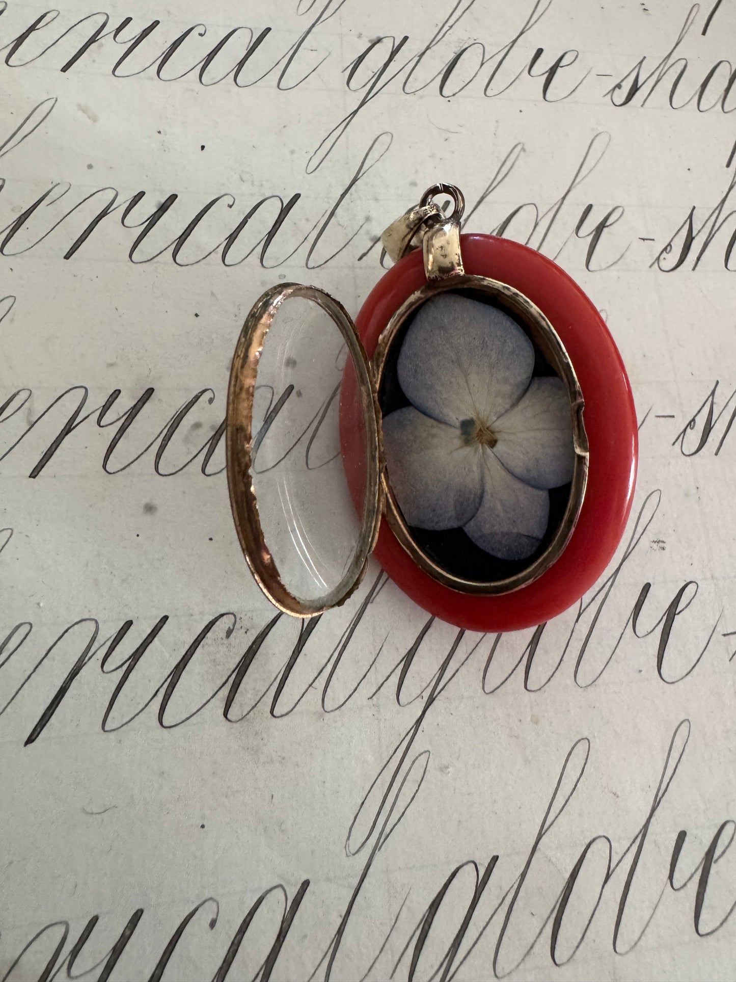 Beautiful antique celluloid locket with hand