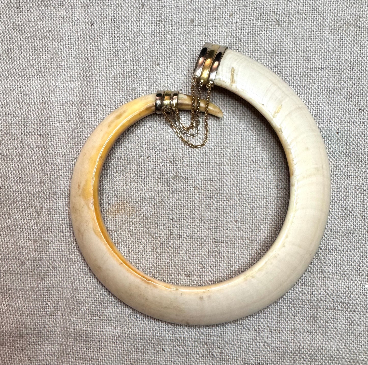 Warthog Tusk Bracelet #2