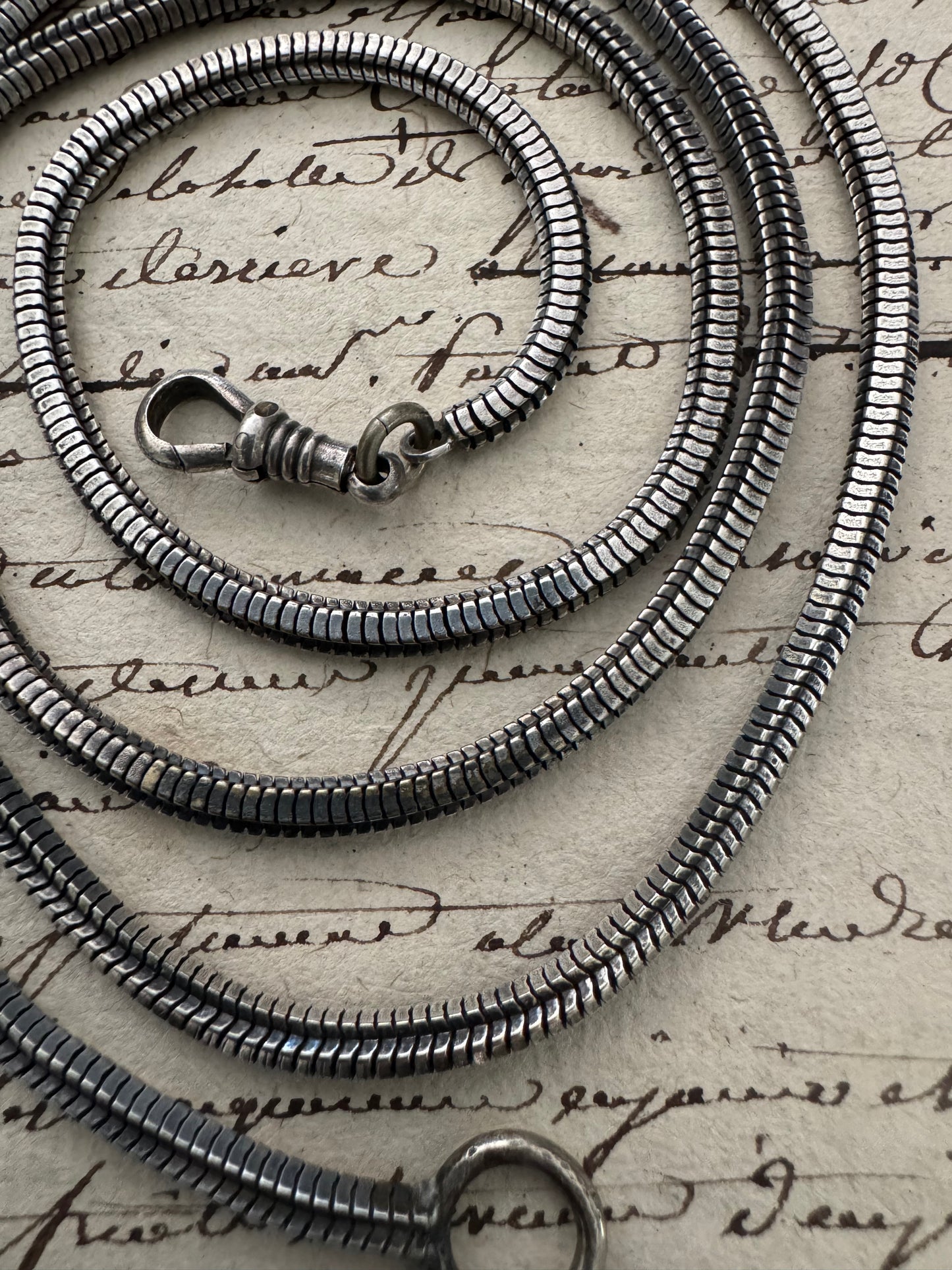 Long Antique Silver Foxtail Chain with Dog Clip