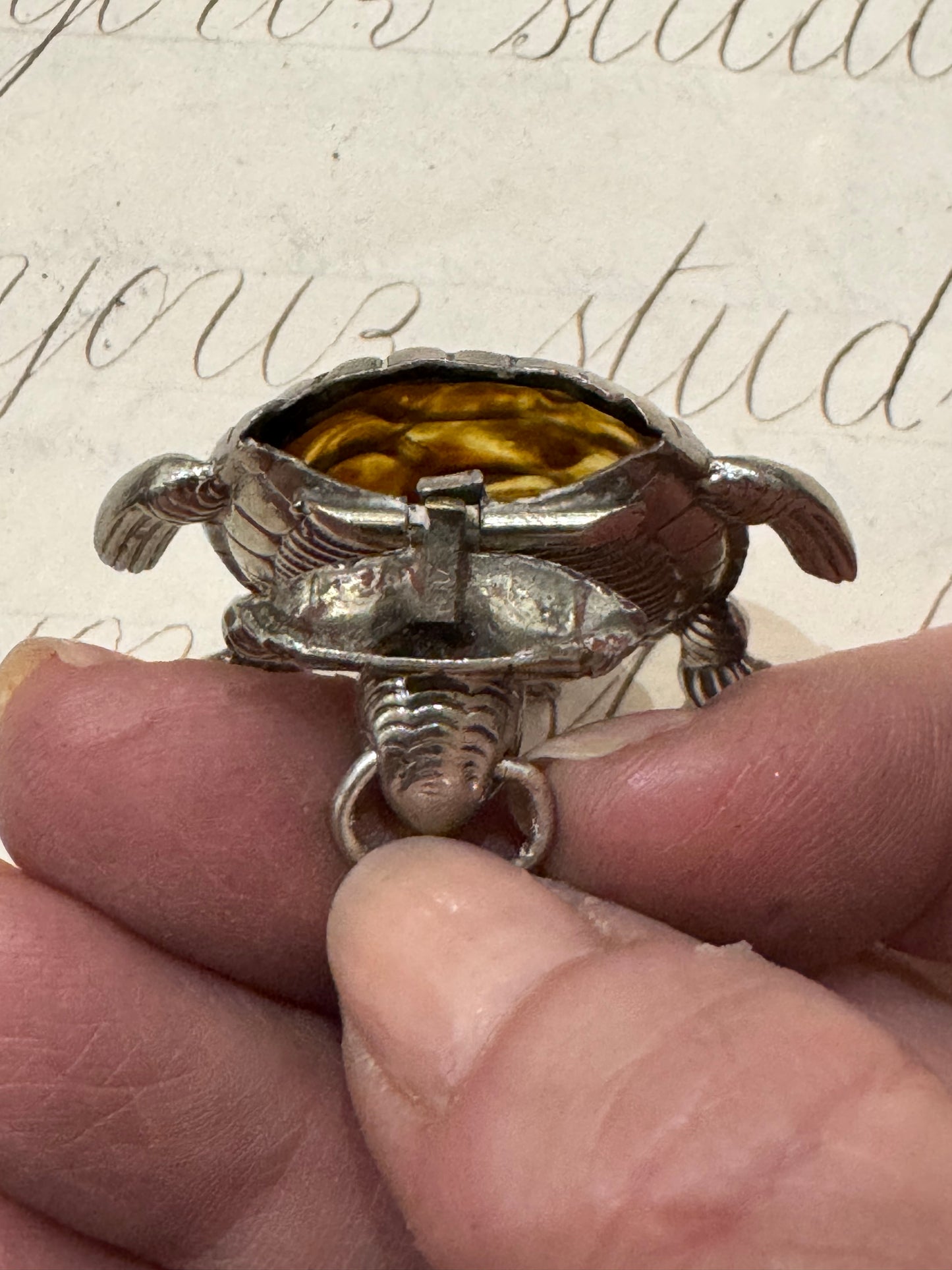 incredible, rare turtle match safe