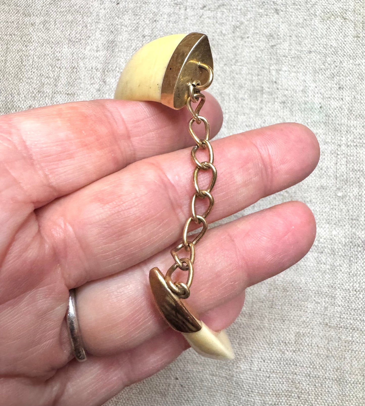 Warthog Tusk Bracelet #6