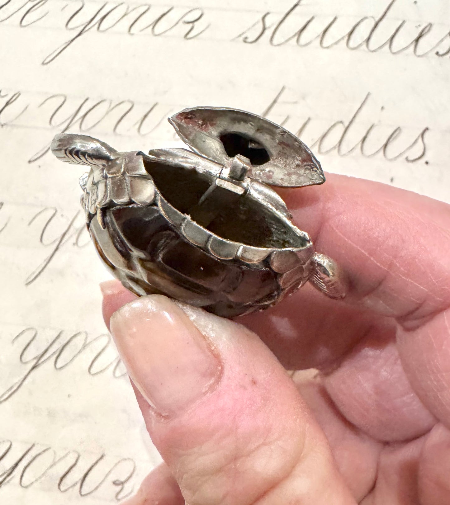 incredible, rare turtle match safe
