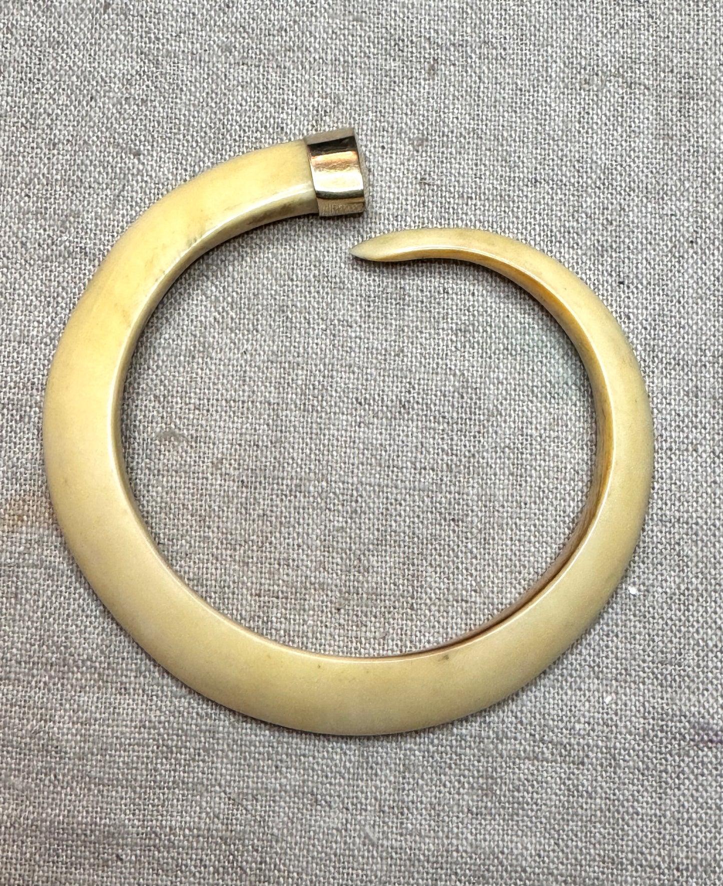 Warthog Tusk Bracelet #4
