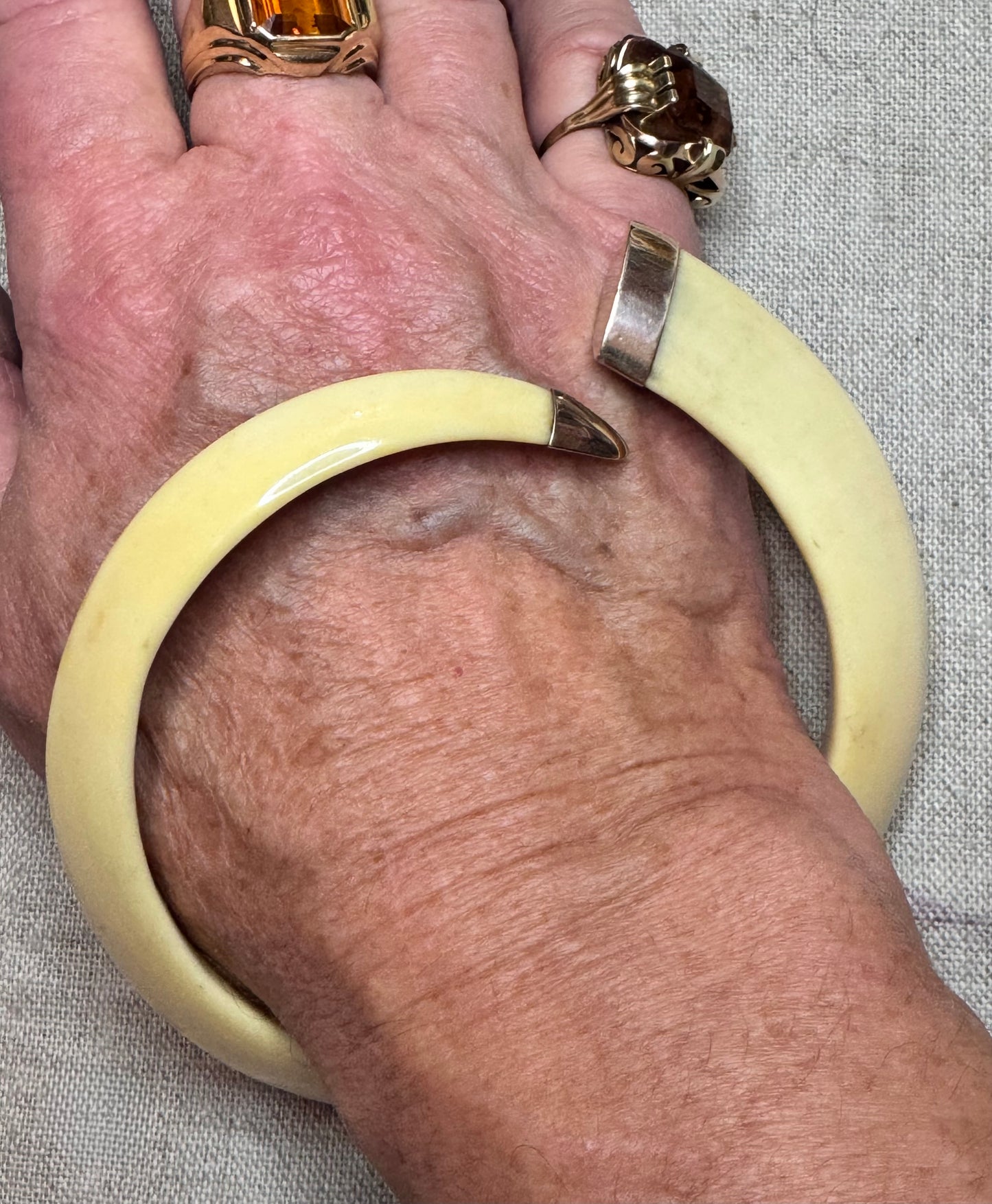 Warthog Tusk Bracelet #3