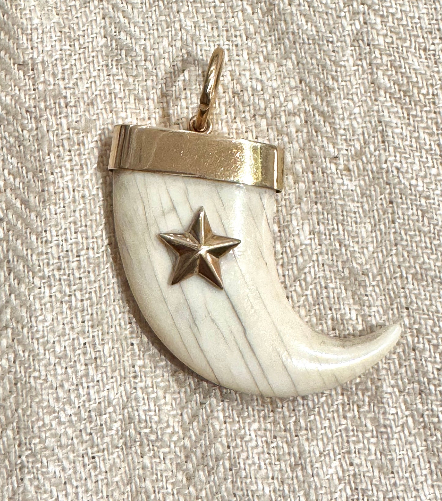 Beautiful English Carved Bone Claw with Star