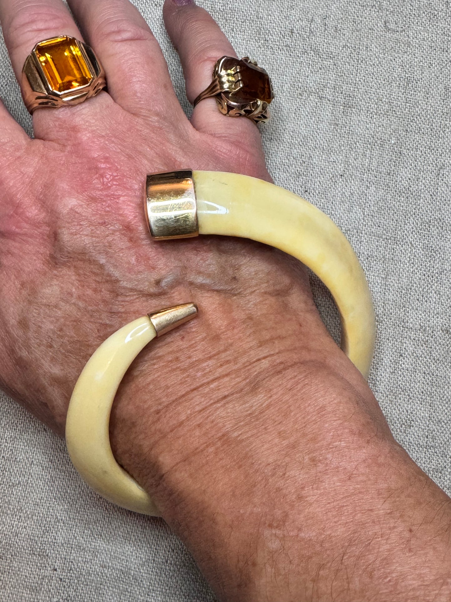 Warthog Tusk Bracelet #5