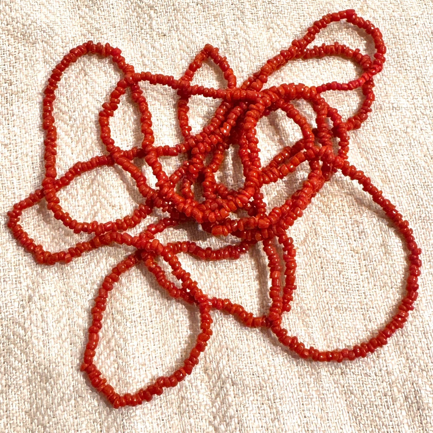 Extra Long Strand of Superior Quality Tiny Italian Coral Beads