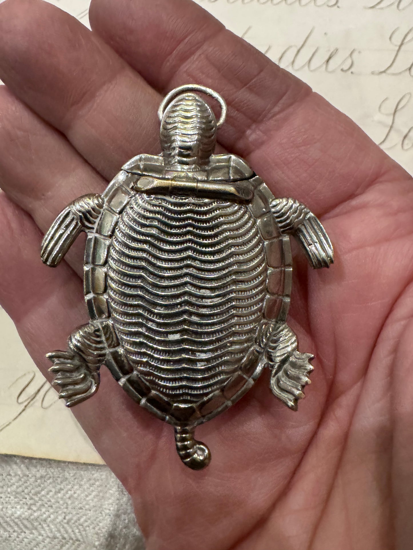 incredible, rare turtle match safe