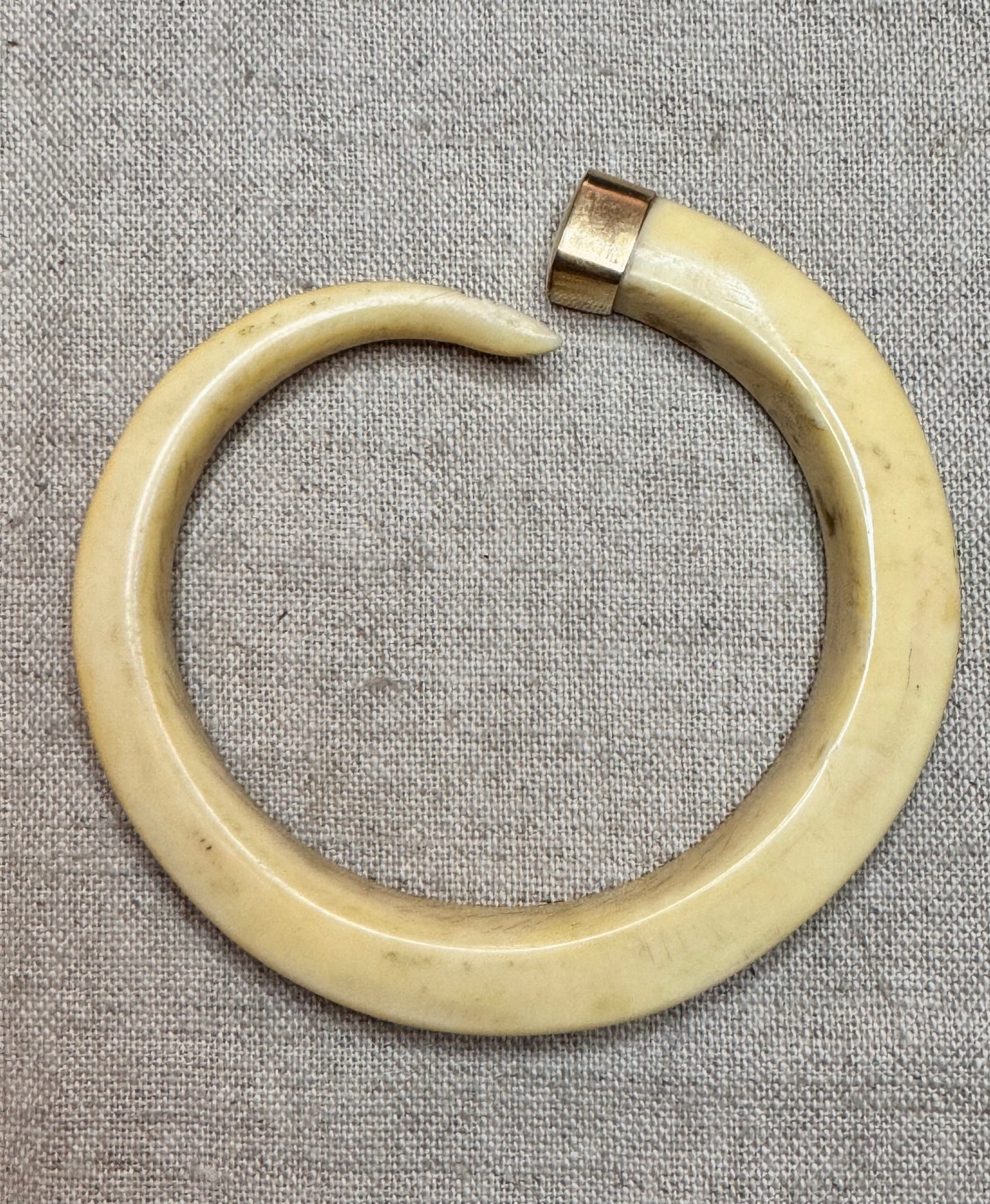Warthog Tusk Bracelet #4