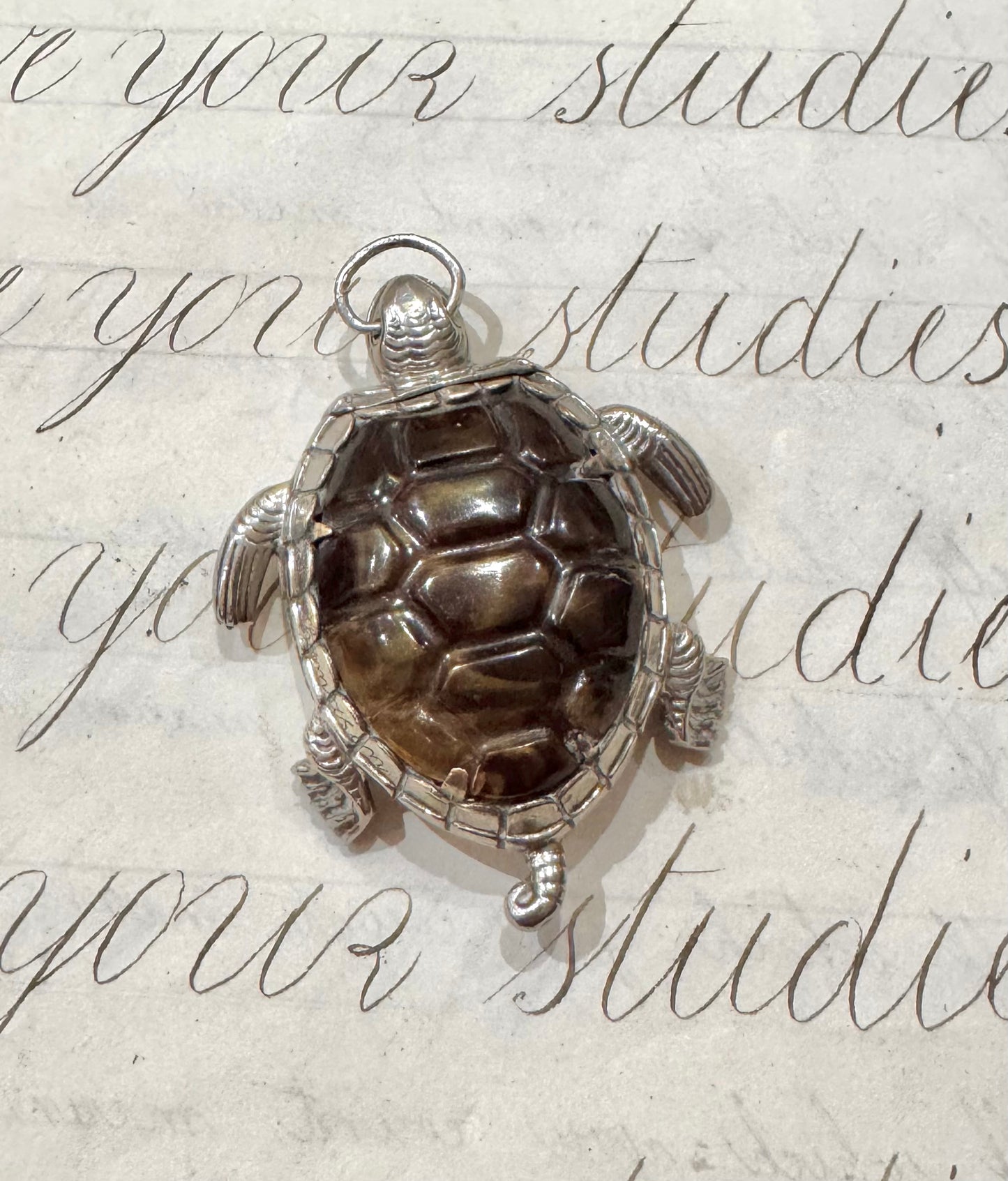 incredible, rare turtle match safe