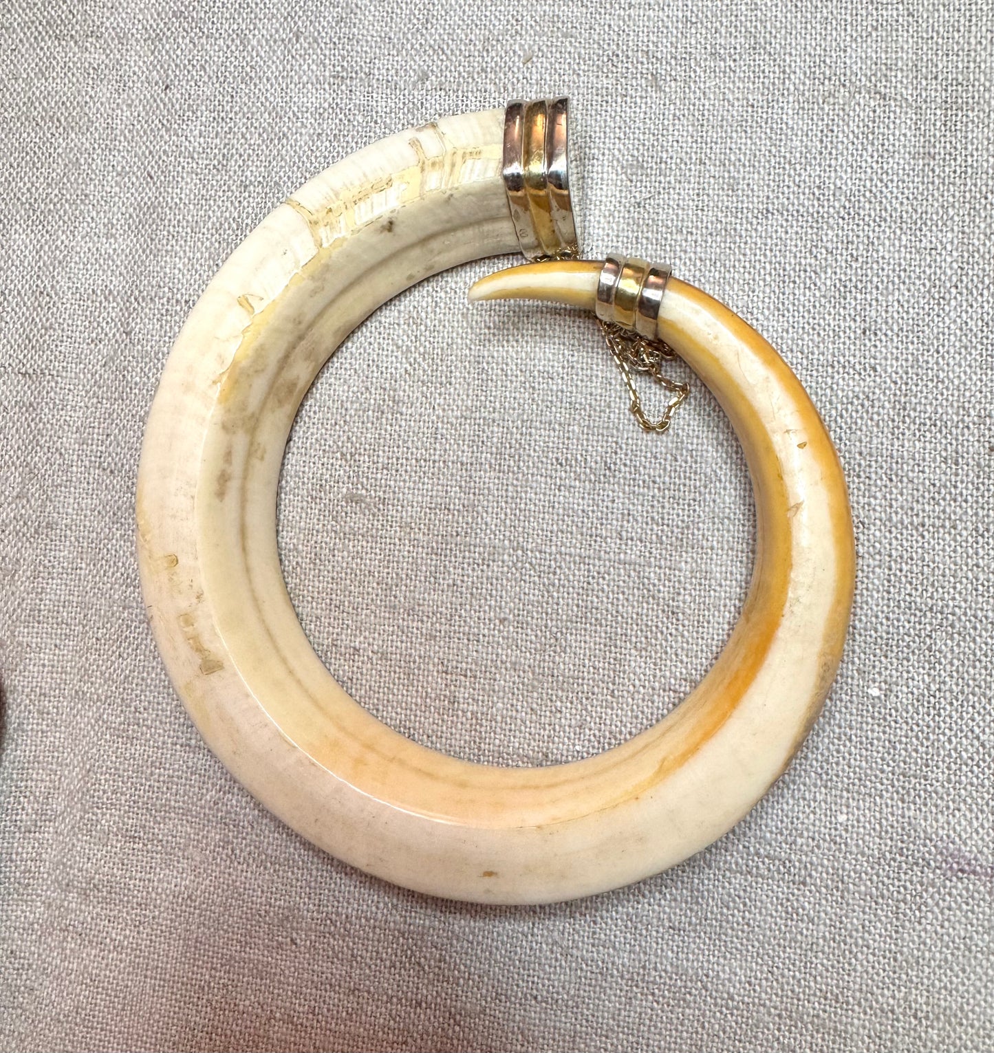 Warthog Tusk Bracelet #2