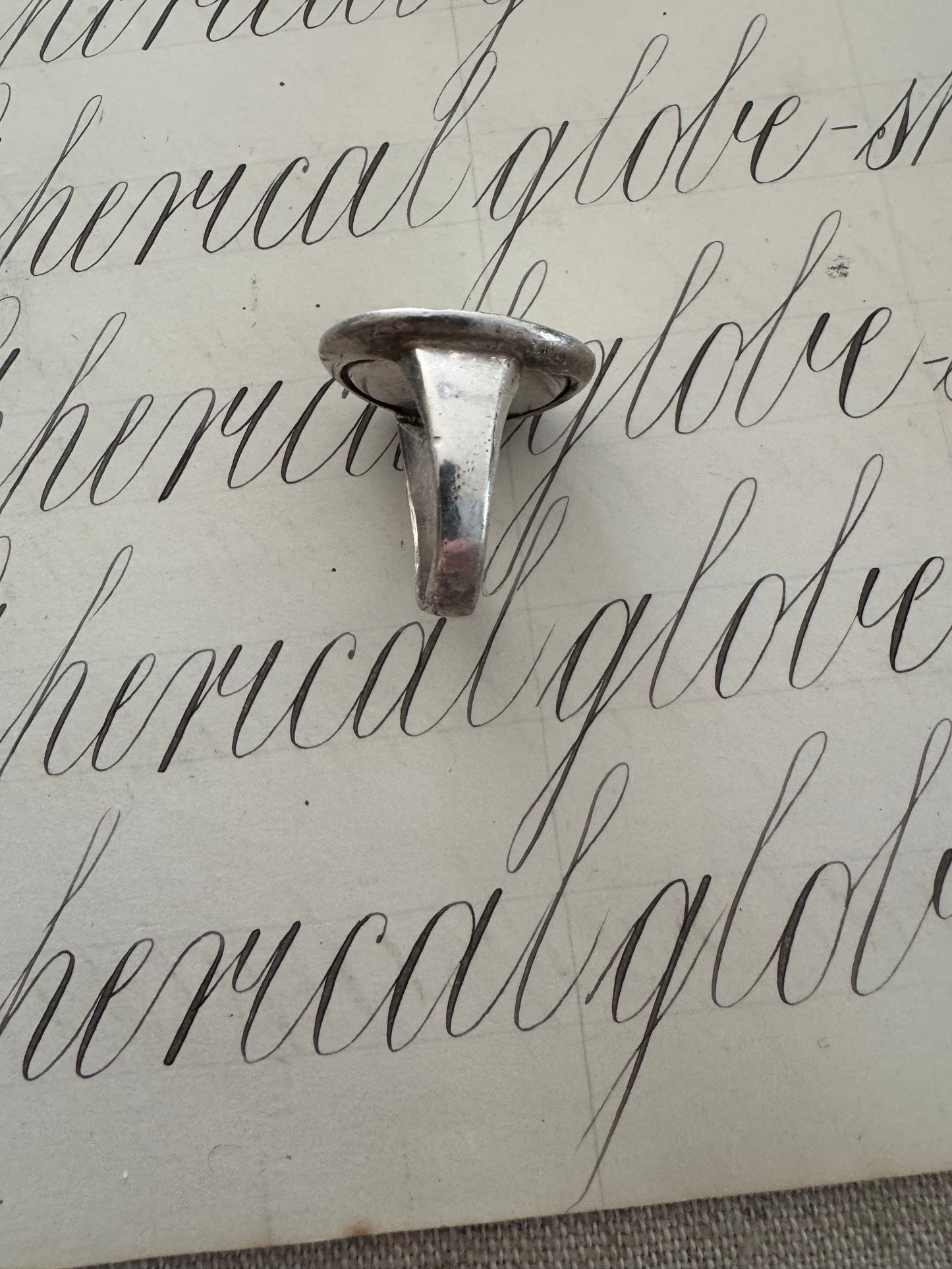 Halley and his Comet Ring