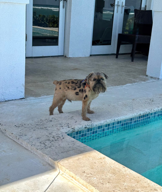 PRIVATE LISTING FOR LB