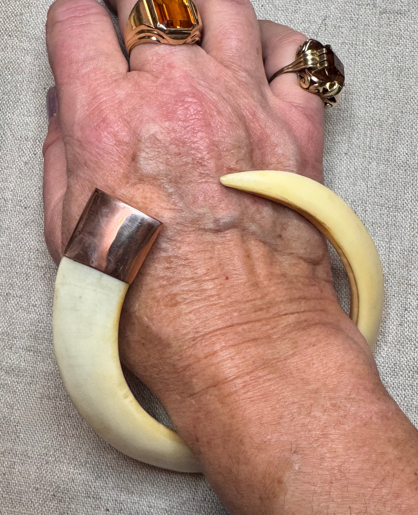 Warthog Tusk Bracelet #7