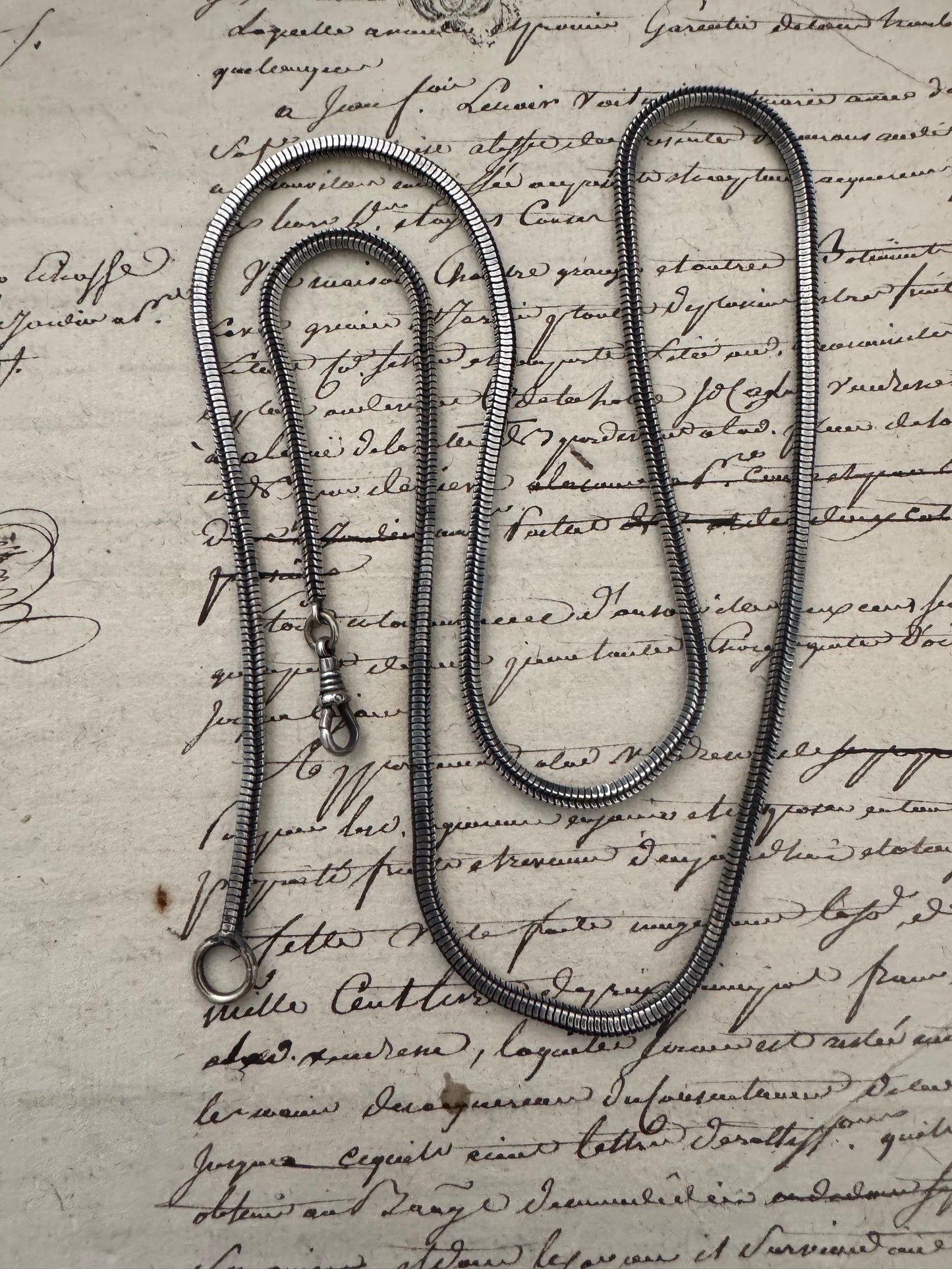 Long Antique Silver Foxtail Chain with Dog Clip
