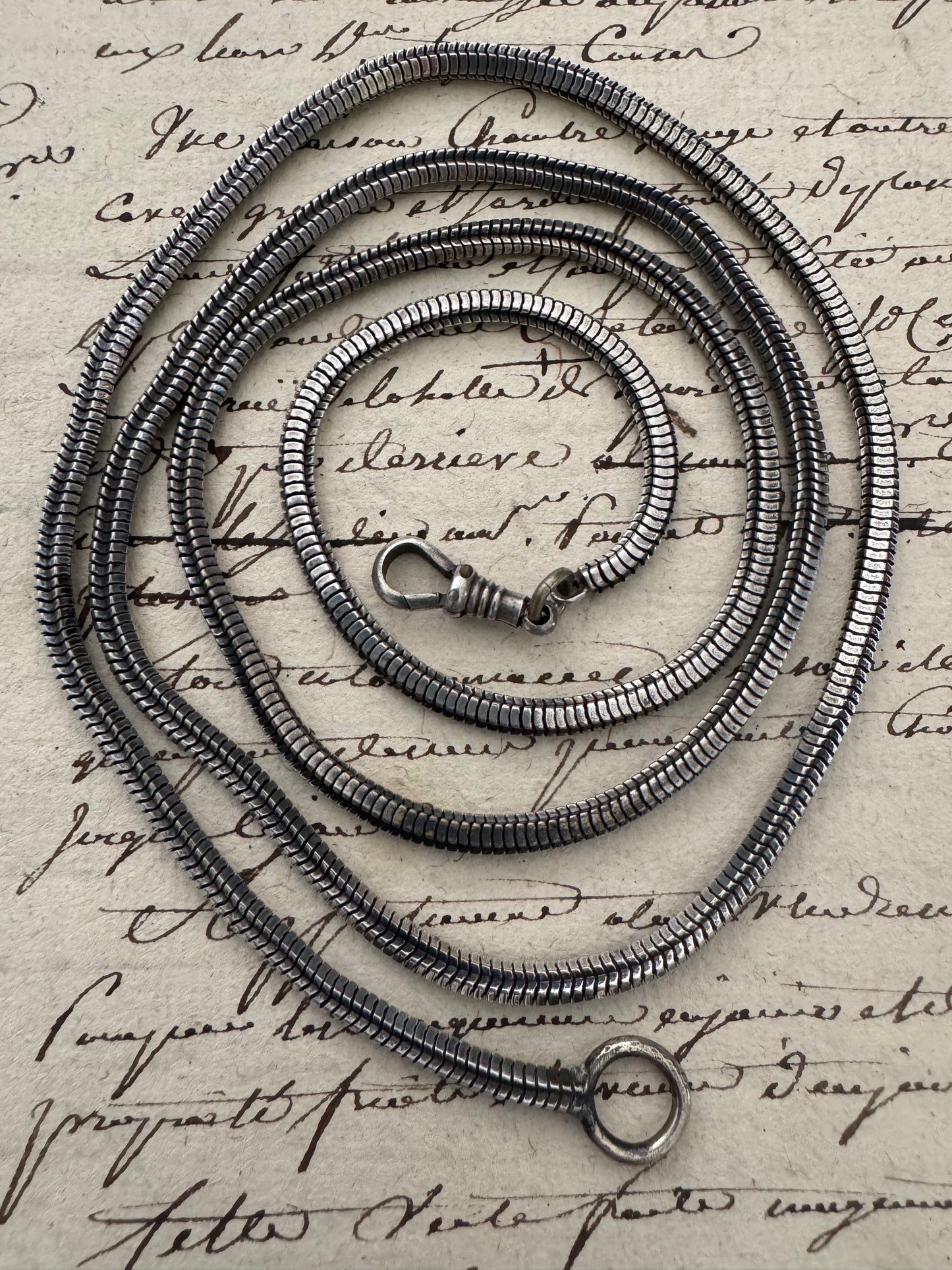 Long Antique Silver Foxtail Chain with Dog Clip