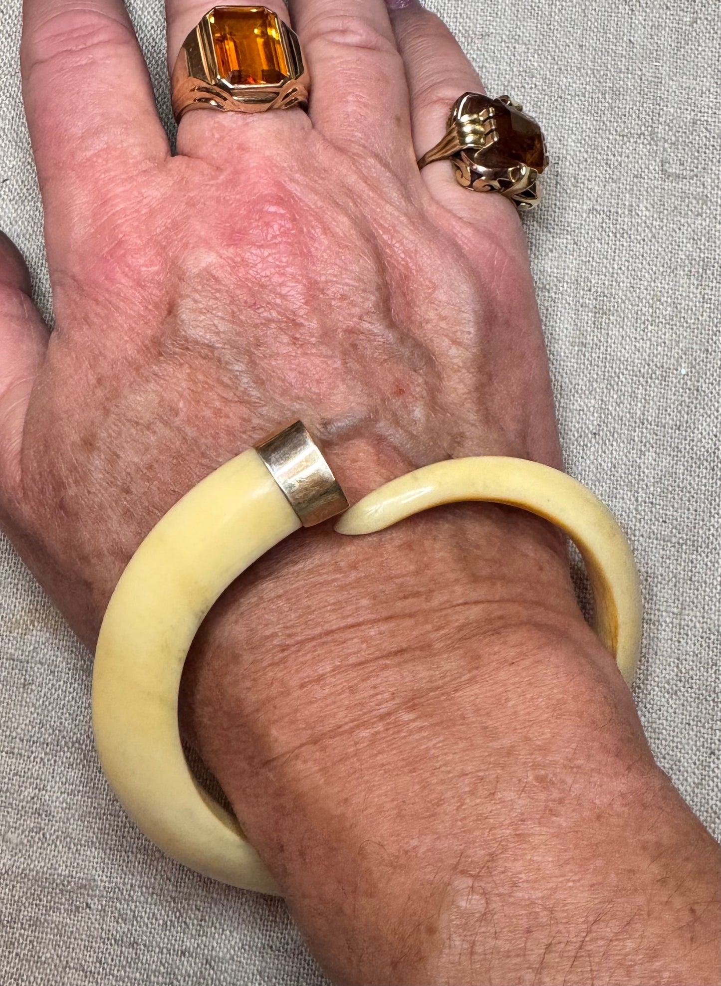 Warthog Tusk Bracelet #4