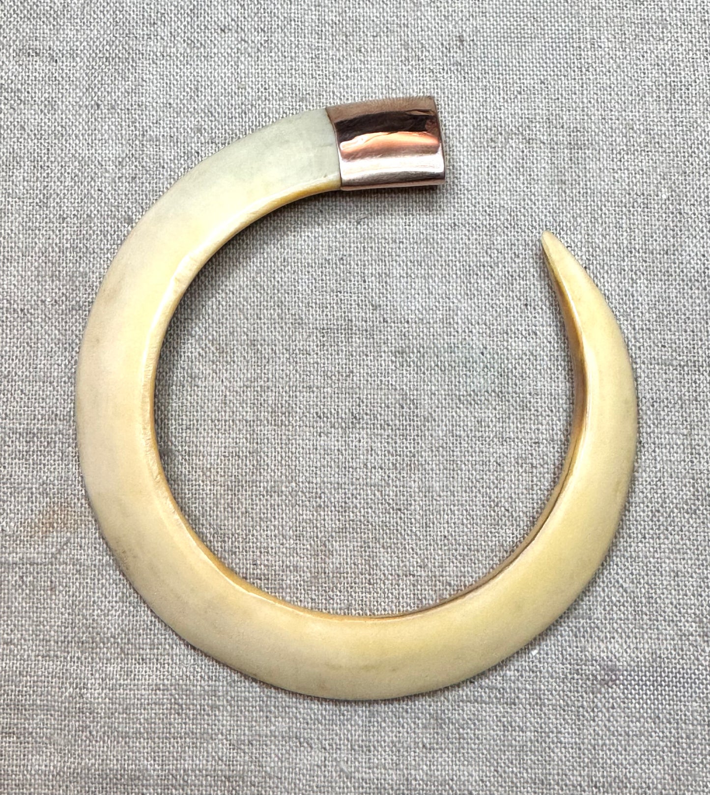 Warthog Tusk Bracelet #7