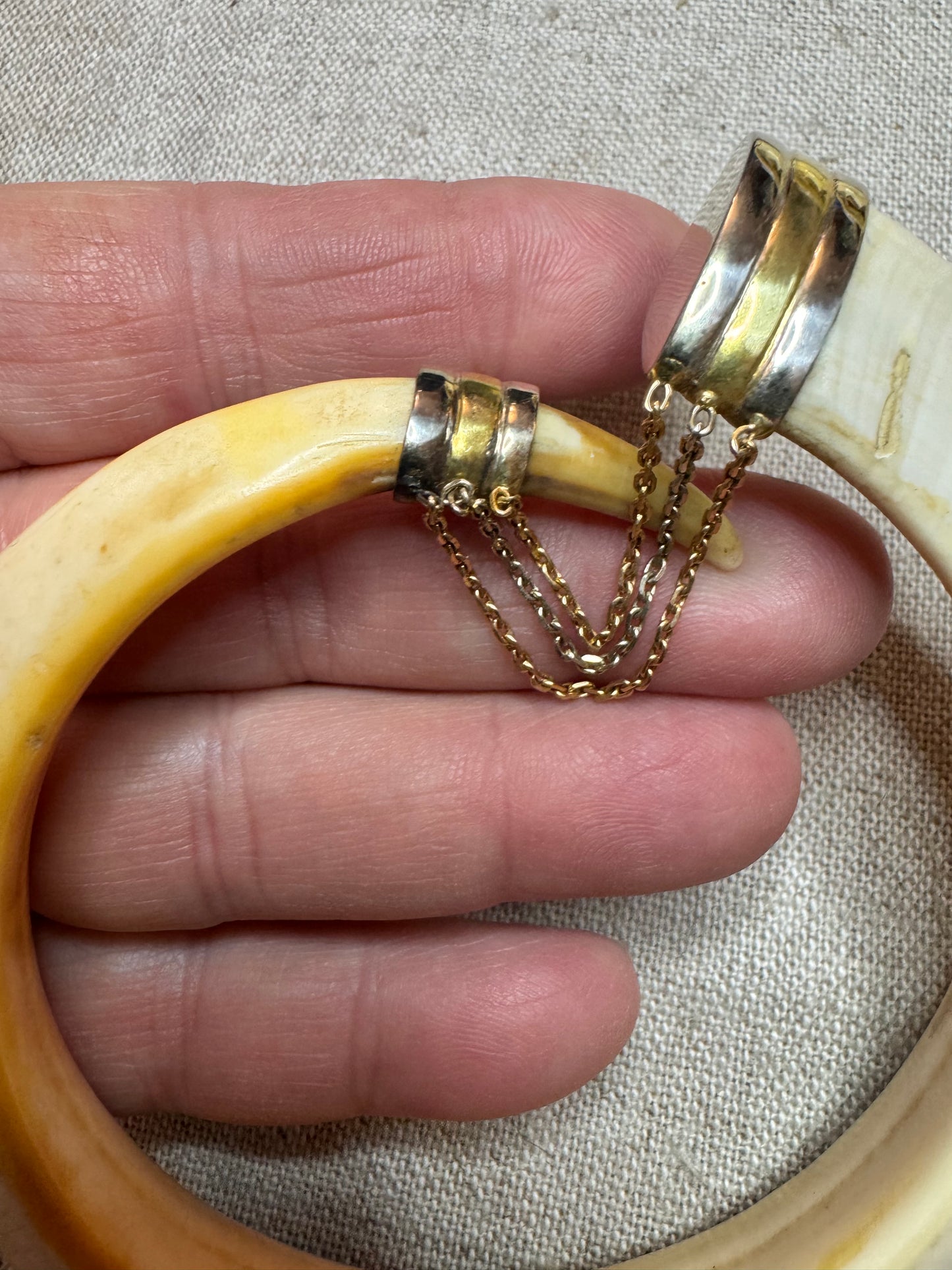 Warthog Tusk Bracelet #2