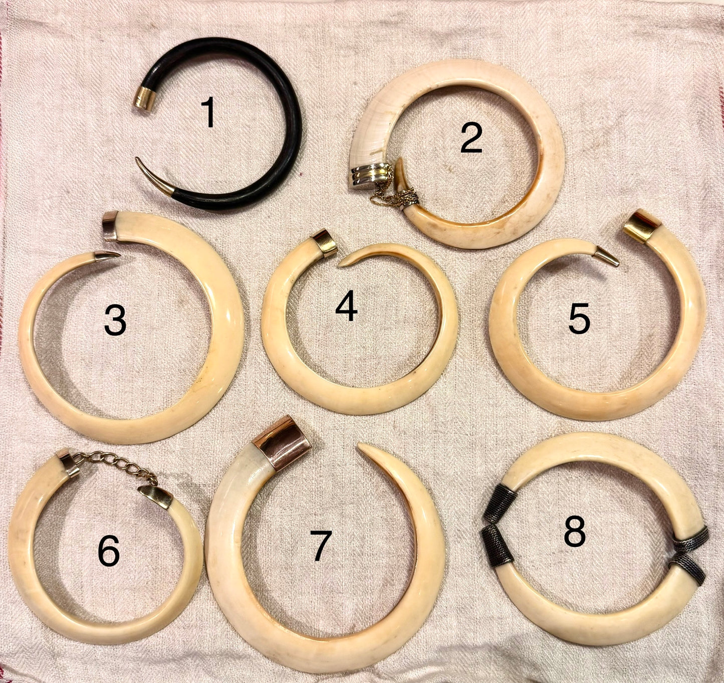 Warthog Tusk Bracelet #4